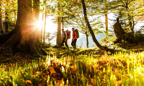 nordic-walking-urlaub-wandern.jpg